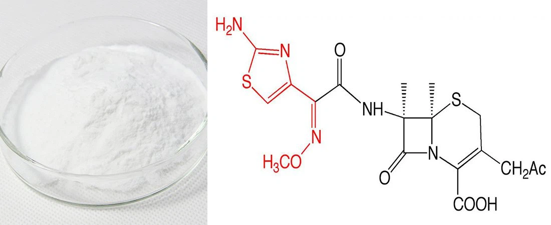cefotaxime sodium cefotaxime sodium