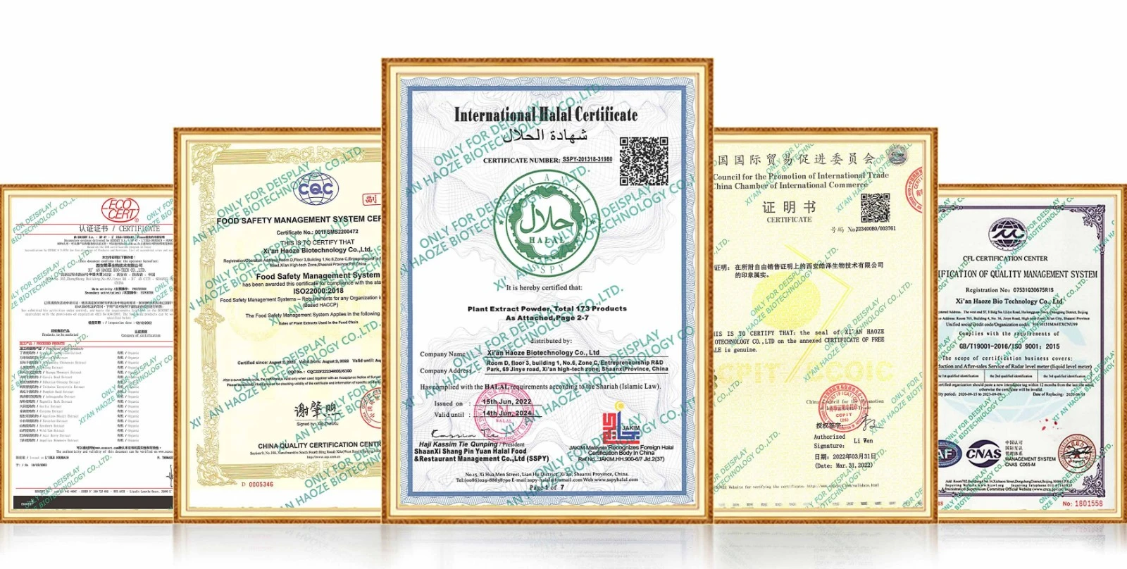 certificate certificate