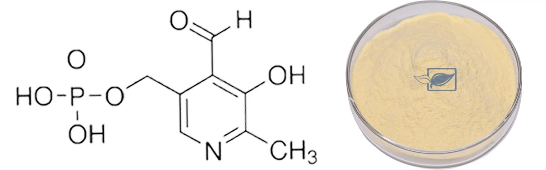 Pyridoxal Phosphate 4 Pyridoxal Phosphate 4