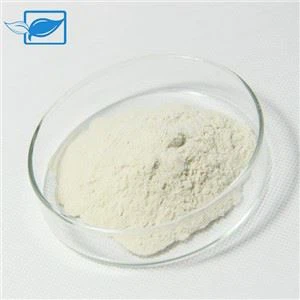 Nattokinase Supplement