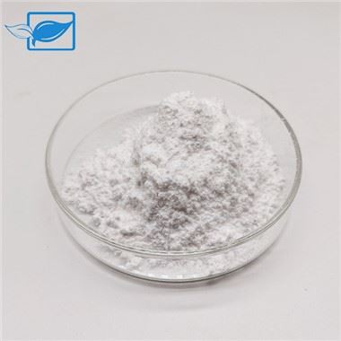 Oleamide Powder