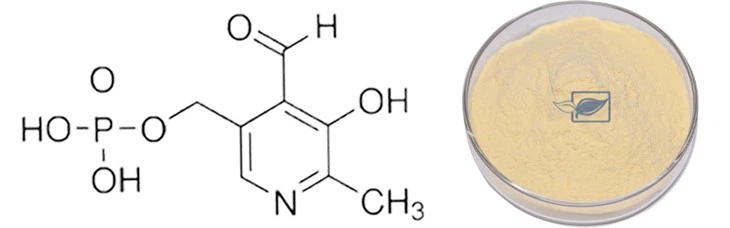 Pyridoxal Phosphate 4