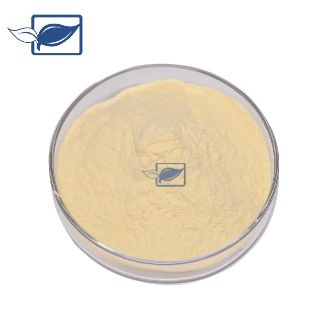 Pyridoxal Phosphate 5