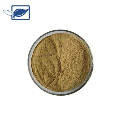Tongkat Ali Extract Powder