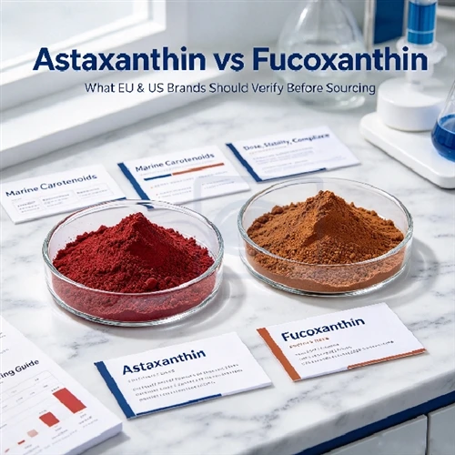 Fucoxanthin Vs Astaxanthin: What EU & US Brands Should Verify Before Sourcing