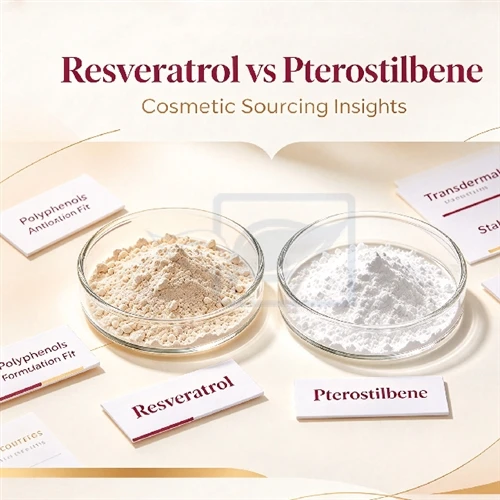 Resveratrol Vs Pterostilbene: What Cosmetic Brands Should Check Before Sourcing