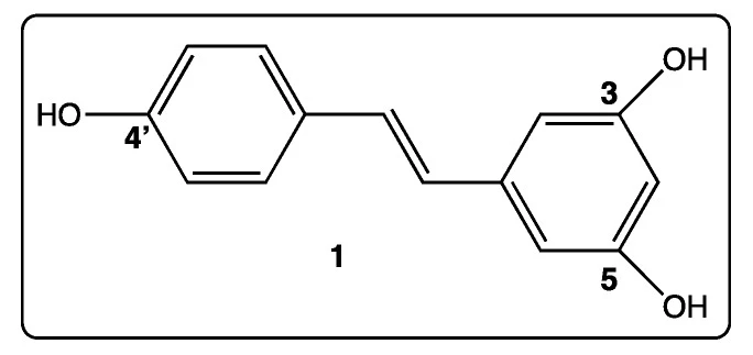 product-684-323 product-684-323