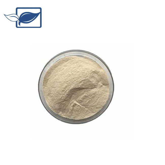 Serrapeptase